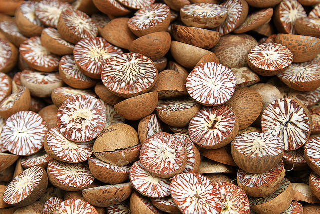 Adhesives out of a betel nut