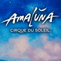 This is the logo of the Cirque du Soleil - Amaluna slot by Bally Technologies. To play the game click on the picture, it will open an ew tab, where you can play this online slot game.