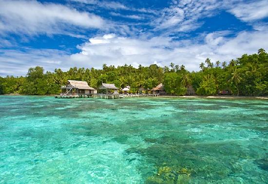 This is a picture of a beach in the Solomon Islands.