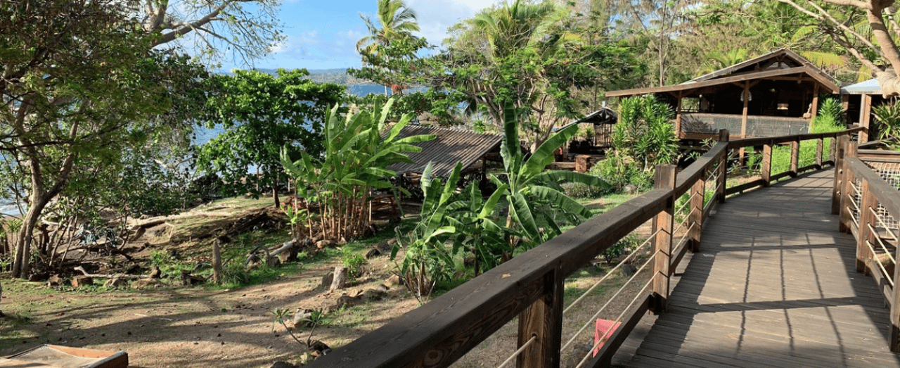 This a photo of the garden and bungalows of O'lolo Hôtel in the Department of Mayotte. Under the picture, on this page, you can read about the legal status of the various forms of Mayotte games of chance: internet lottery, digital bingo, electronic poker, sports betting, crypto wagering. There is also info about illegal gambling, betting on blood sports, the licensing system, taxation regime, and you can find a list of licensed online gambling websites, which accept Mahoran players.