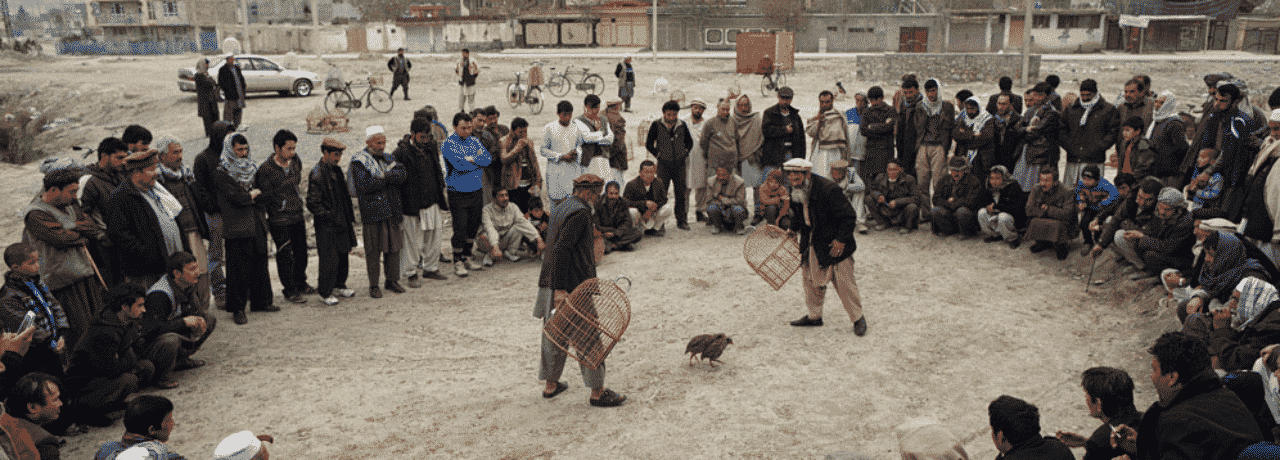 This is a picture of Afghan men in a circle during a quail fighting match with illegal betting, in Kabul, the capital of Afghanistan. Under this picture, on this page, you can find a list of all terrestrial Afghan casinos, info about the legal status of gaming venues, slot halls, their taxation regime, licensing system, and you can find a list of Afghanistan licensed online casinos, which accept players from the country.